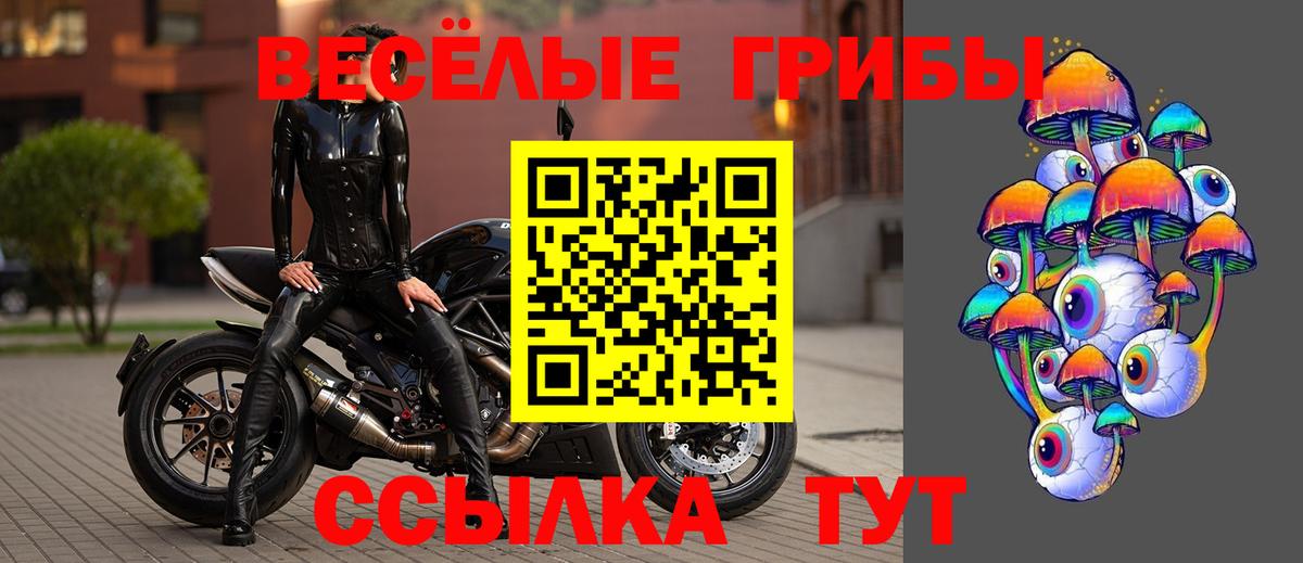 Галлюциногенные грибы мицелий  Псилоцибиновые грибы MAGIC MUSHROOMS  Вход с VPN  Хабаровск 